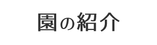 園の紹介